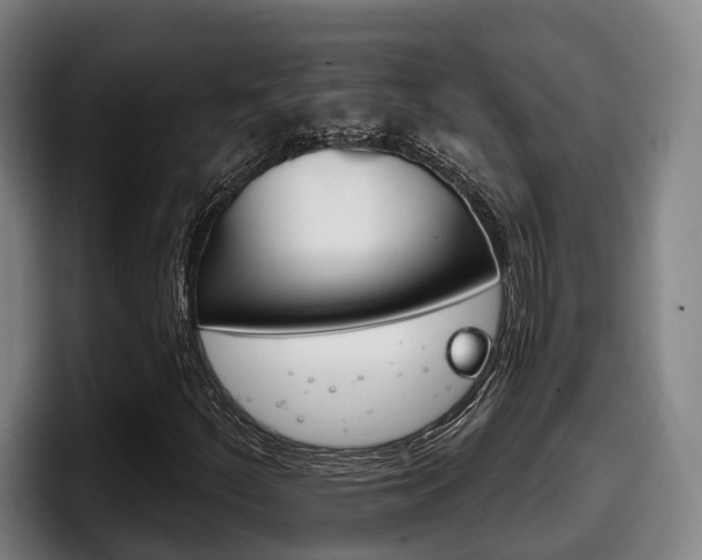X0000098141252200804171112
