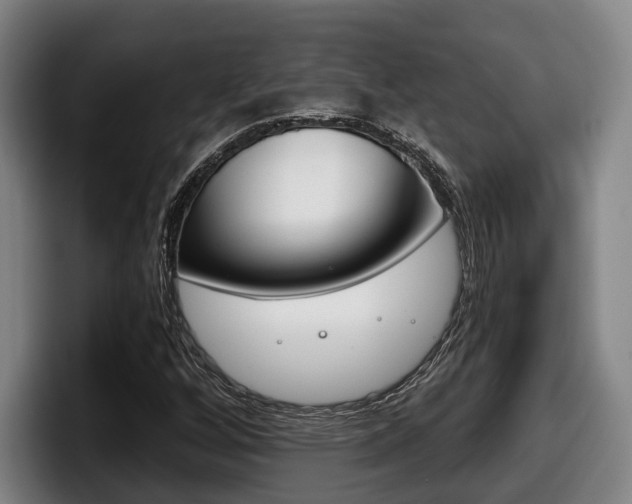 X0000098141256200804171112