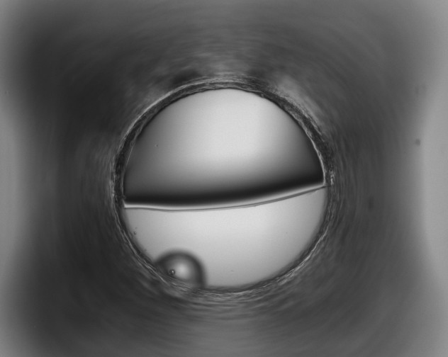 X0000098141260200804171112