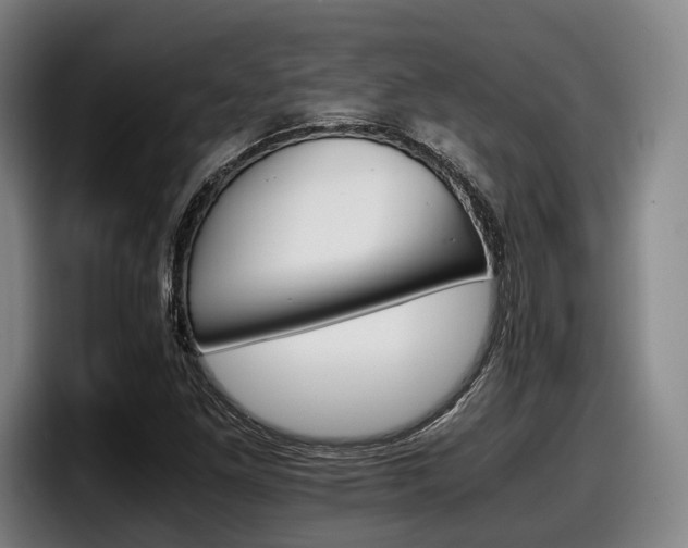 X0000098141261200804171112