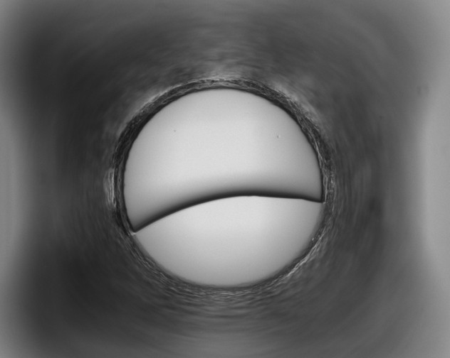 X0000098141262200804171112