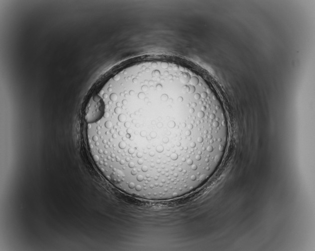 X0000098141263200804171112
