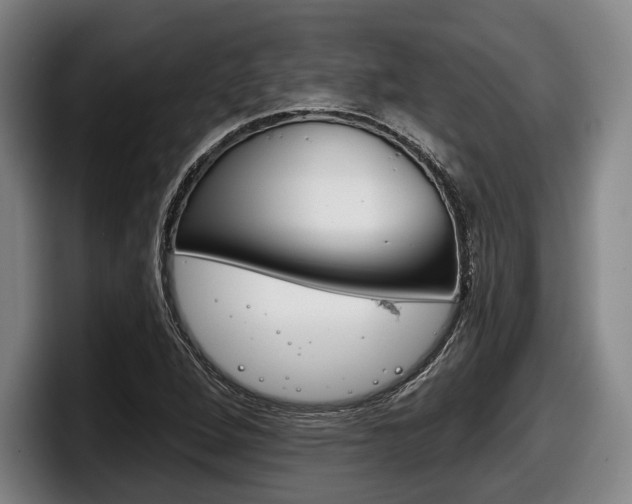 X0000098141264200804171112
