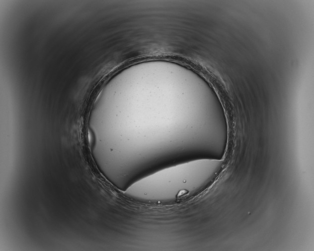 X0000098141265200804171112
