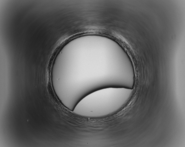 X0000098141267200804171112
