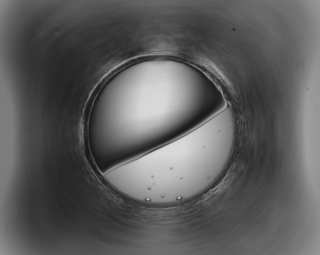 X0000098141268200804171112
