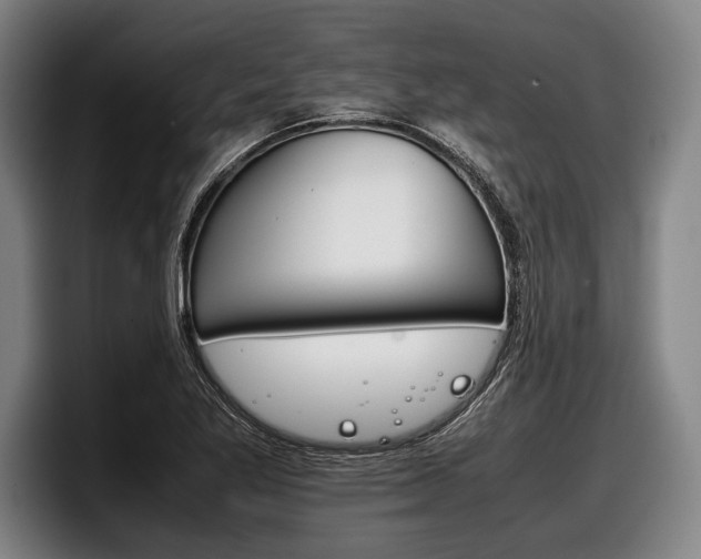 X0000098141269200804171112