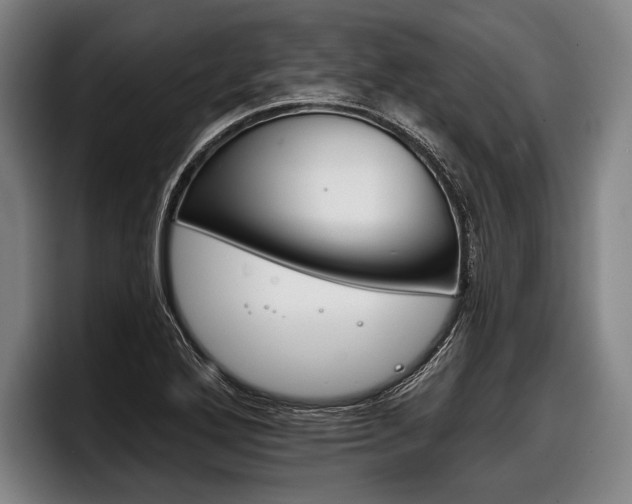 X0000098141272200804171112