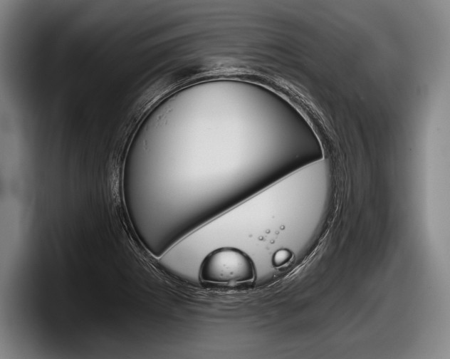 X0000098141273200804171112