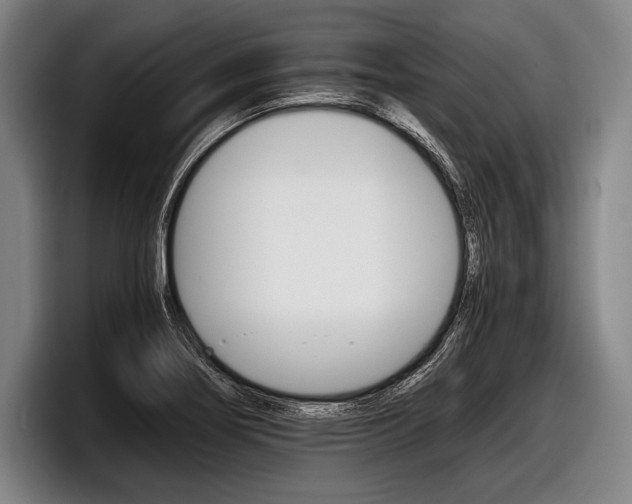 X0000098141274200804171112