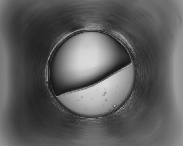 X0000098141276200804171112