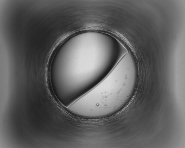 X0000098141277200804171112
