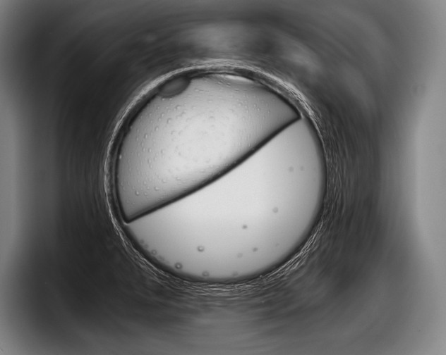 X0000098141279200804171112