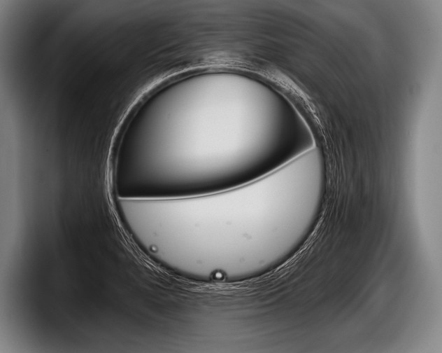 X0000098141280200804171112