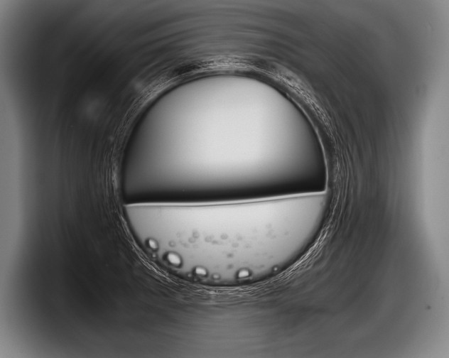 X0000098141281200804171112