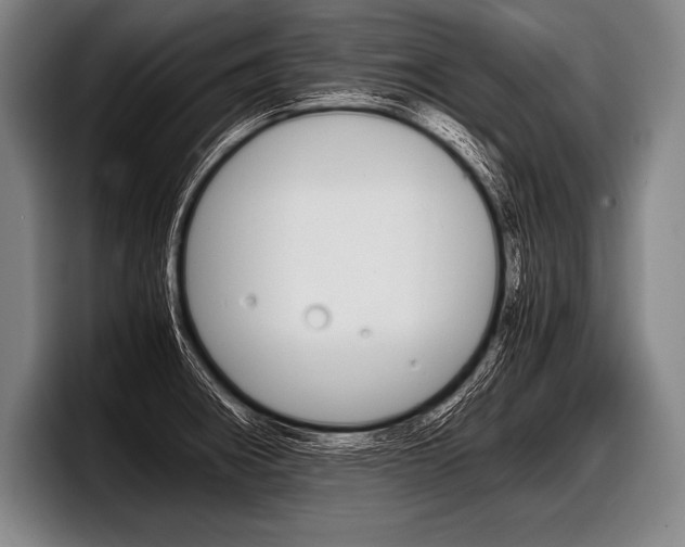 X0000098141282200804171112