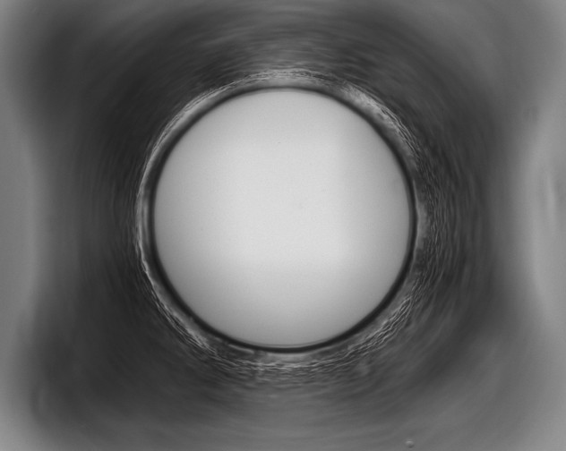 X0000098141286200804171112