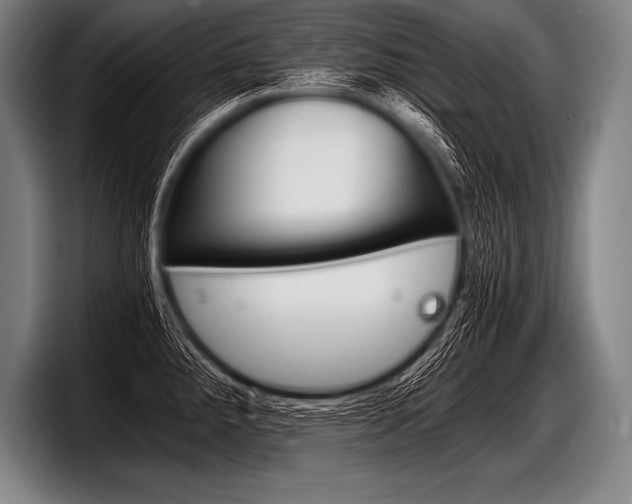 X0000098141288200804171112