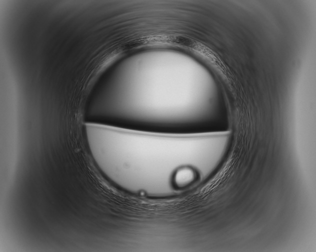 X0000098141289200804171112