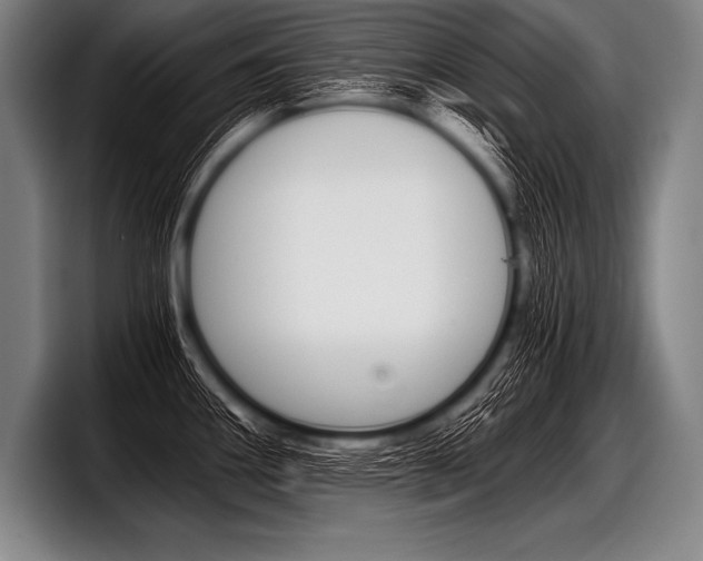 X0000098141290200804171112