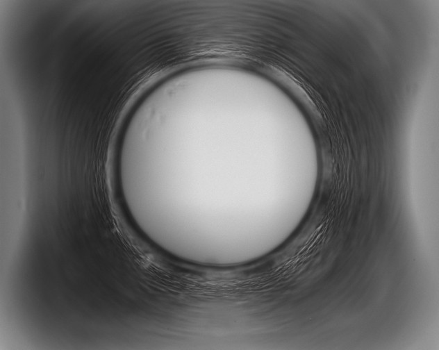 X0000098141291200804171112