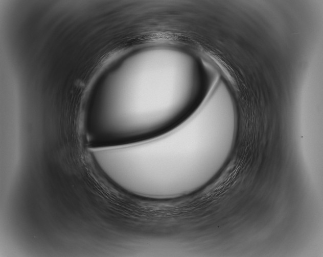 X0000098141292200804171112