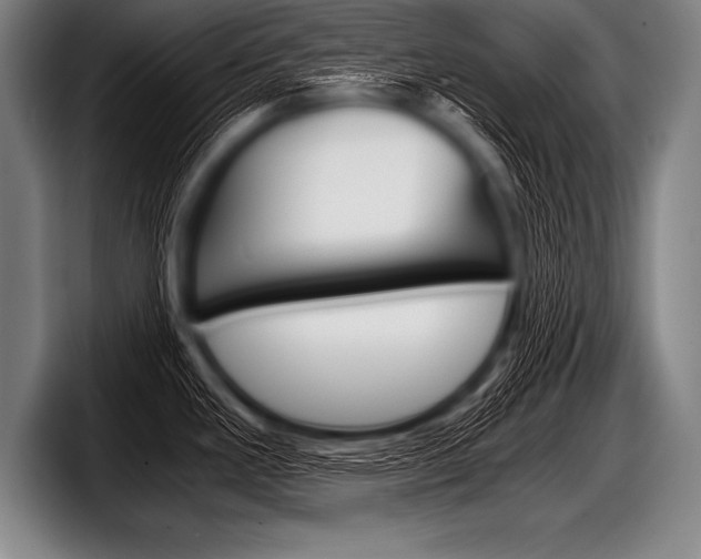X0000098141293200804171112
