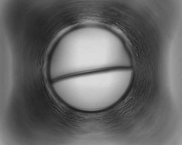 X0000098141295200804171112