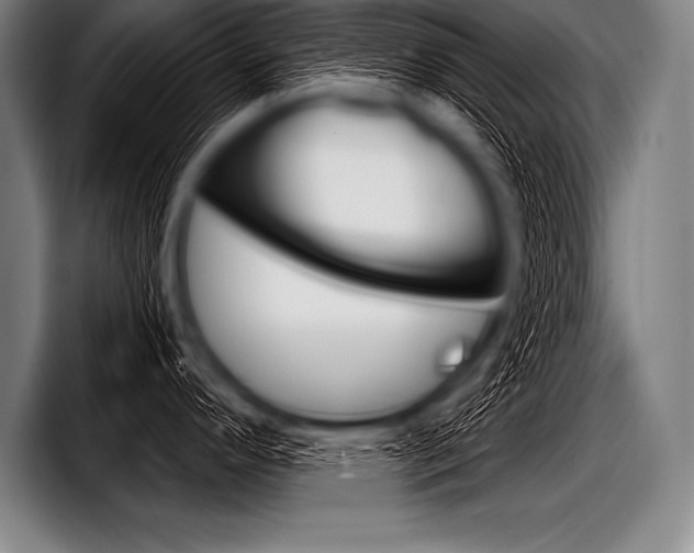X0000098141296200804171112