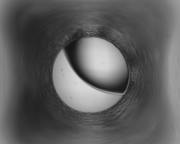 X0000098141298200804171111