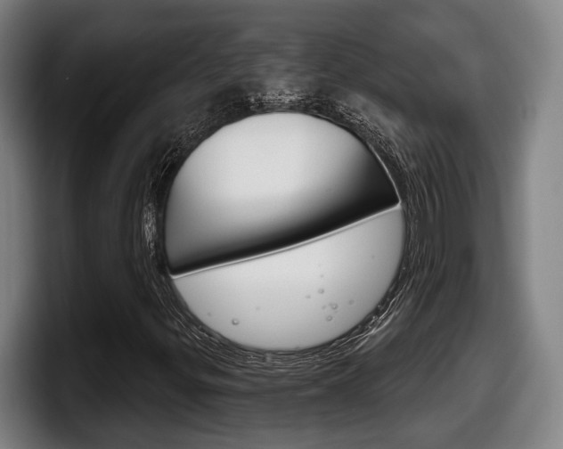 X0000098141299200804171111