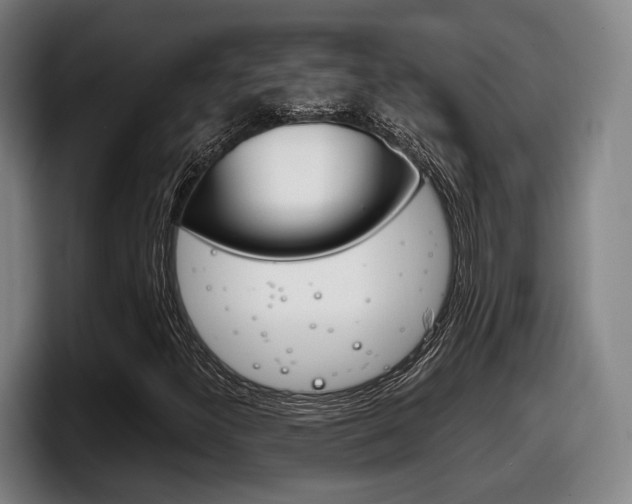 X0000098141300200804171111