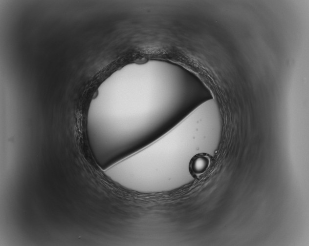 X0000098141301200804171111