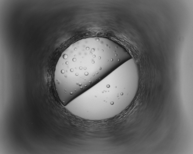 X0000098141302200804171111