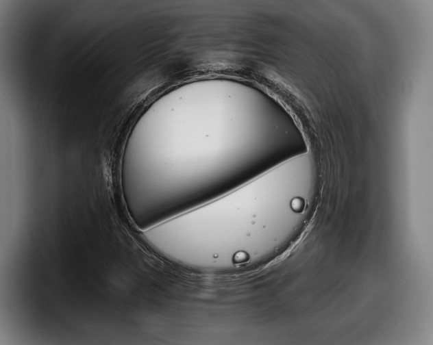 X0000098141305200804171111