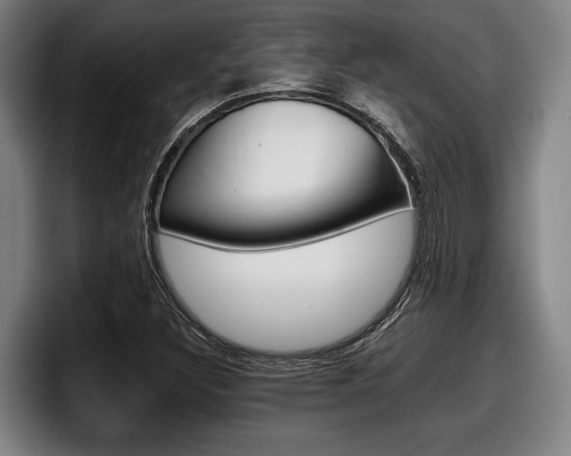 X0000098141308200804171111