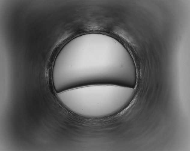 X0000098141309200804171111