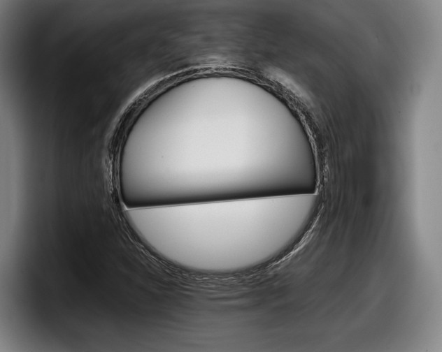 X0000098141310200804171111