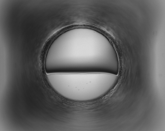 X0000098141311200804171111