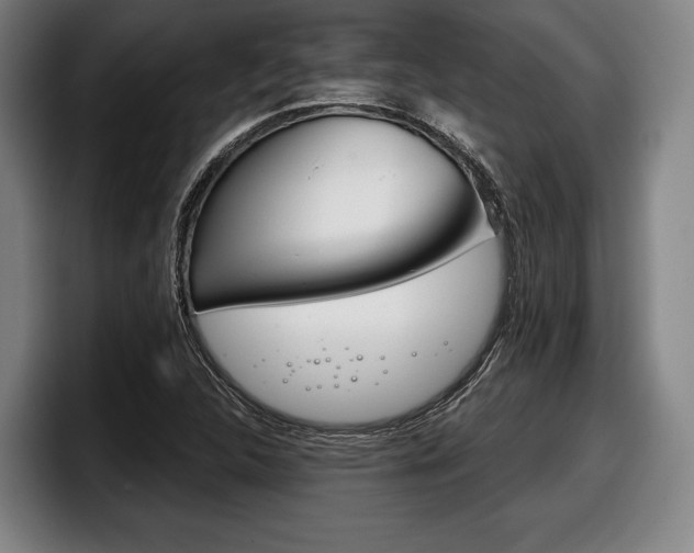 X0000098141312200804171111
