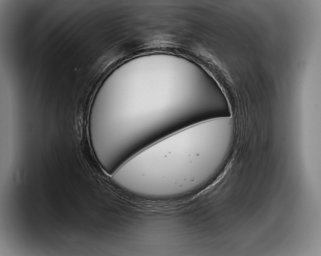 X0000098141313200804171111
