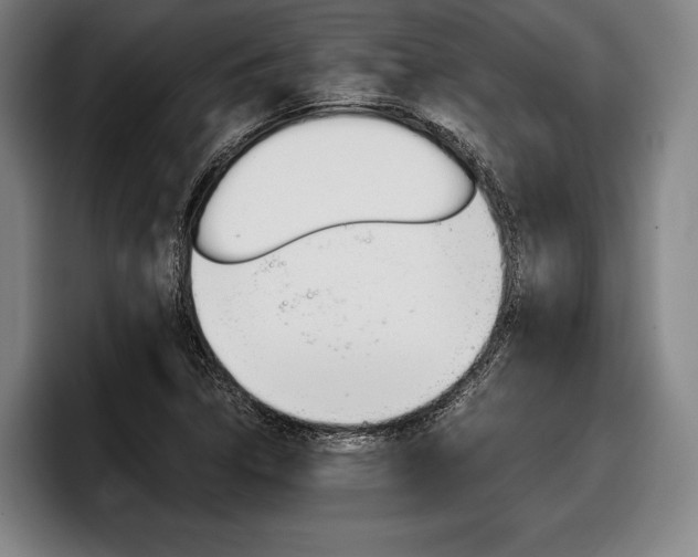 X0000098141314200804171111