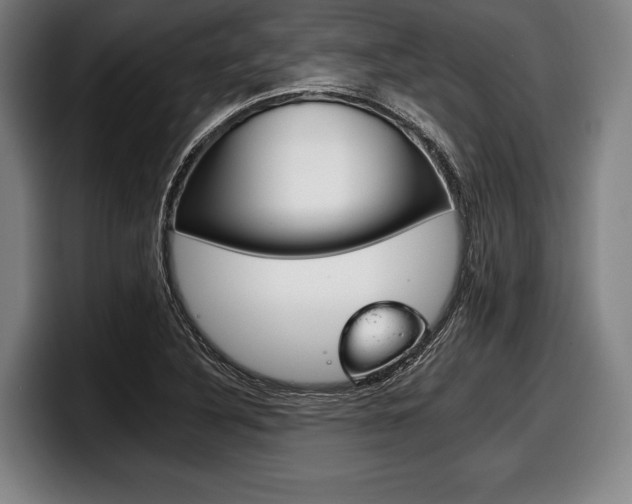 X0000098141316200804171112