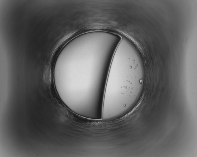 X0000098141317200804171112