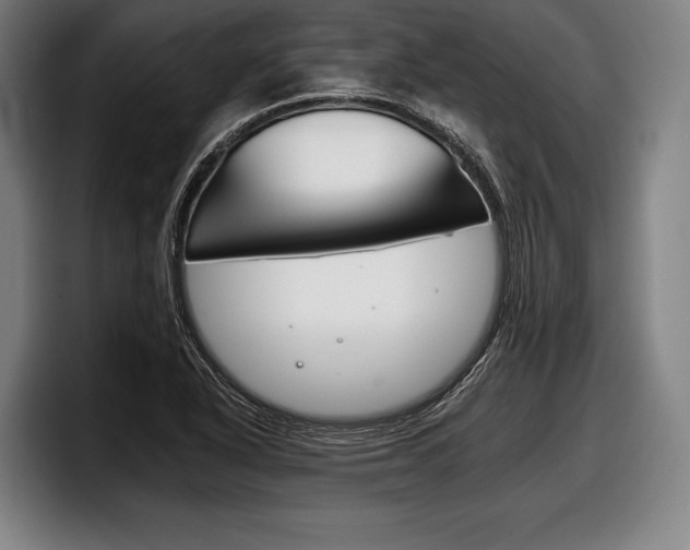 X0000098141318200804171112