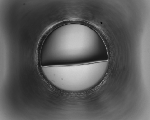 X0000098141319200804171112
