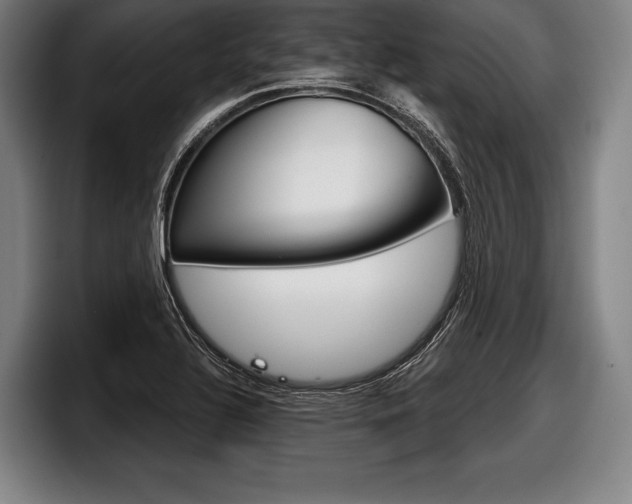 X0000098141320200804171112