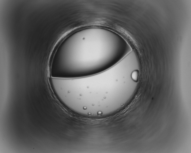 X0000098141324200804171112