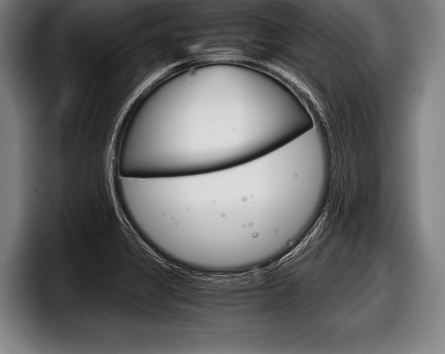 X0000098141325200804171112
