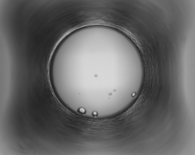 X0000098141326200804171112
